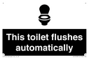this-toilet-flushes-automatically~